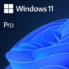 Microsoft Windows 11 Professional 64bit English OEI DVD Operating Software OEM - Image 2