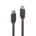 LINDY 36906 Black Line USB Cable