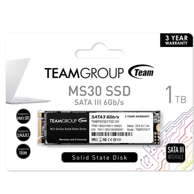 Team MS30 1TB M.2 Sata (TM8PS7001T0C101) 1TB