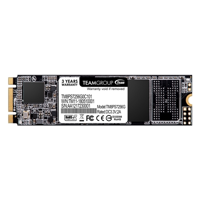 Team MS30 256GB M.2 Sata (TM8PS7256G0C101) 256GB