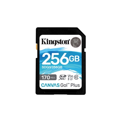 Kingston Canvas Go! Plus SDCG3/256GB 256GB Micro SD Card