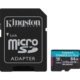 Kingston Canvas Go! Plus SDCG4/256GB 256GB Micro SD Card