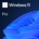 Microsoft Windows 11 Professional 64bit English OEI DVD Operating Software OEM